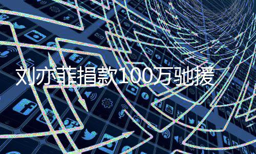 渡难刘亦南万驰相助菲捐 共关款1援河守望